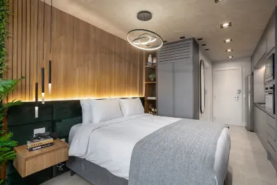 扎勒花園 Prof. Carlos da Silva Lacaz History Museum附近的飯店