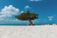Secluded Villa with Pool3Min to Beachfree Utilities