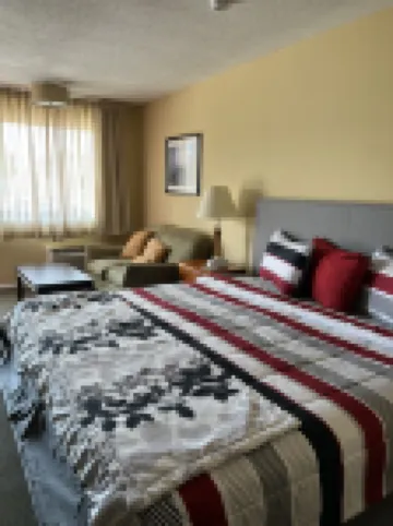 アンバサダー イン アンド スイーツ