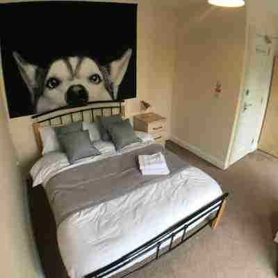 Blackberry House - Sleeps 6 with Parking and Netflix TV Rooms