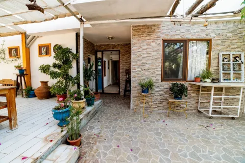 يوكاليبتس بينشن الأماكن العامة Photos