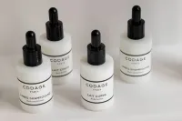 ル ルレ マドレーヌ