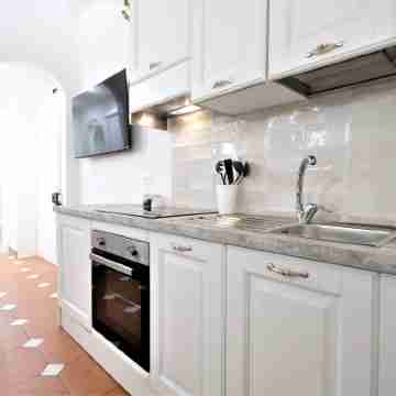 Wine Apartments Florence Ribolla Others