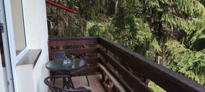 Casa Adina Hotels in Sinaia