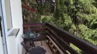 Casa Adina
