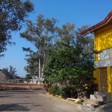 Yellow House Vacation Rental