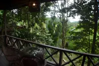 Sepilok Forest Edge Resort - bar