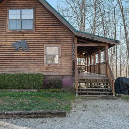 Bear Necessities is near East Port Marina on Dale Hollow Lake Tennessee