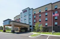 Holiday Inn Express & Suites ST. Paul - Woodbury Hotel di Lake Elmo