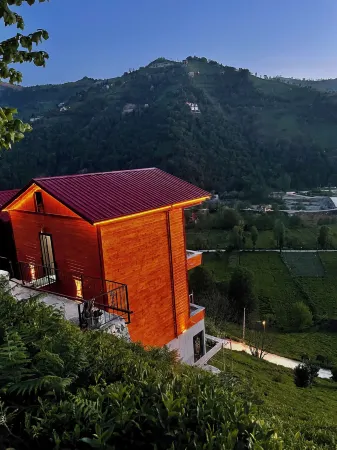 Green Hill Pension Отели в г. Yamacdere Koyu