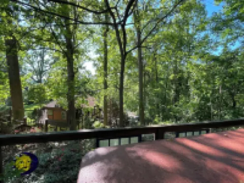 Historic Cottage  - Near Grove Park Inn  - Private Garden and Covered Swing