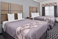 Americas Inn & Suites IAH North Hotels in Atascocita