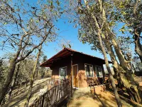 Wild Heaven Glamping And Resort Saputara Hotels in Saputara