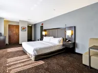 홀리데이 인 익스프레스 로물루스 / 디트로이트 공항 바이 IHG 로물루스 호텔