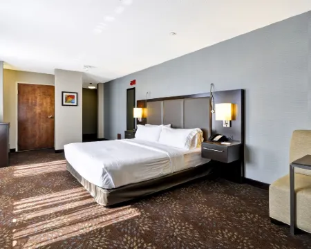 Holiday Inn Express ROMULUS / DETROIT AIRPORT by IHG Hotels in Romulus