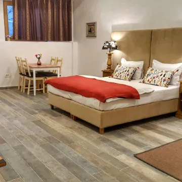 Windmill Studios by Rembrandt Old Town