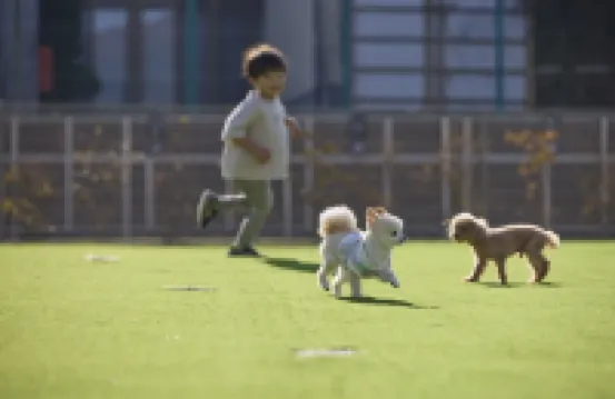 سولانافوجياماناكاكو