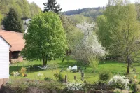 Gasthof Zur Traube Hotels in Finkenbach