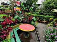 Cabinas El Pueblo B&B Monteverde Hotel a