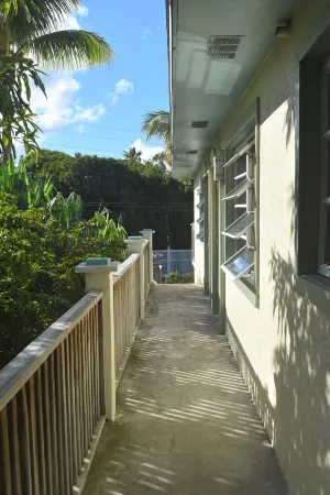 The Sugar Apple Lodging Отели в г. Данмор-Таун