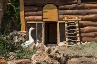 Agriturismo Le Anfore