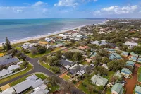 언쇼의 씨 레니티