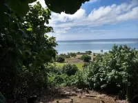 Pension les 3 Cascades - วิว