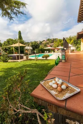 Il Mirto B&B Hotels in Imperia