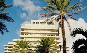 Nobu Hotel Miami Beach