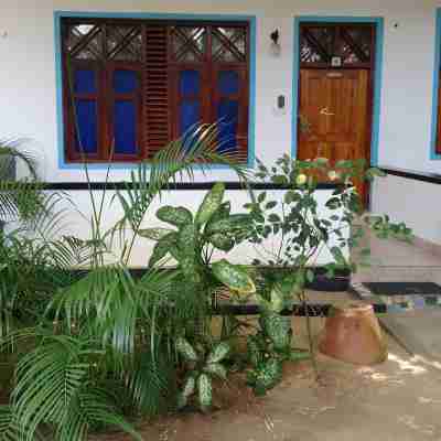 Hangloose Arugambay Hotel Exterior
