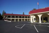 Timberland Inn & Suites - Motels