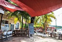 Coconut Tree West Bay