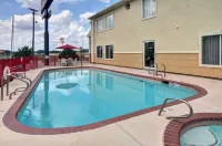 Quality Inn and Suites Terrell - piscine