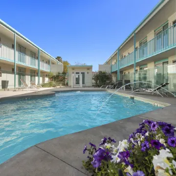 Modern Designer Studio with Pool