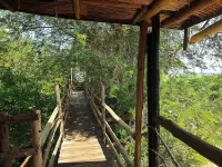 Hornbill Bush Lodge Hotels in Nwoya