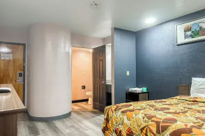 스코티시 인 잭슨 더 잭슨 주 주변 호텔