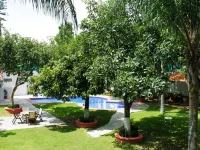 Áurea Hotel and Suites - Ramah keluarga