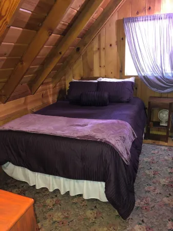 Charming Ski cabin with WiFi near Dodge Ridge, great for family or small group.