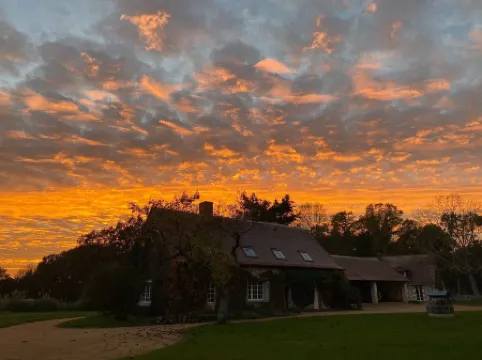 Sublimes hébergements en Coeur de forêt