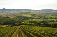 Room Rent Morrona Hotels in Peccioli