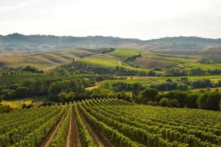 Room Rent Morrona Отели в г. Peccioli