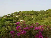 Le Case di Berto Hotels in Capo Vaticano