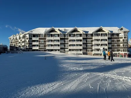 First Floor Allegheny Springs with Private Entrance-free pool use,slopeside,A/C