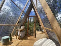 Star Gazer - Tiny House