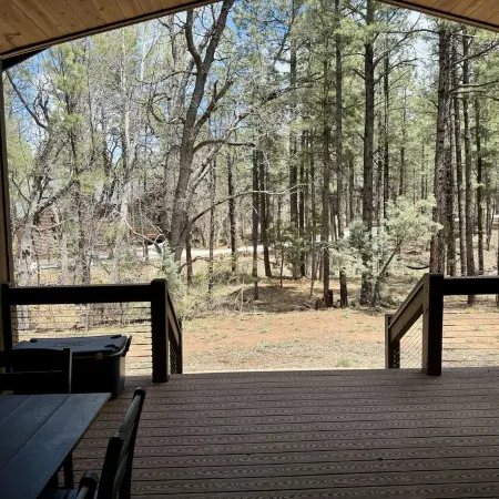New Beautiful Cabin Located in Quiet Torreon Cul-De-Sac