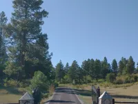 Cozy Cabin at Enchanted Wood 021896