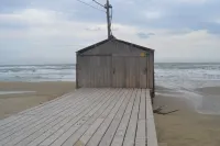 200 year old, large townhouse with romantic patio Hotels in Sigean