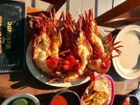 Seaside Salina ~ Beachfront Paradise!!! (It's just nicer