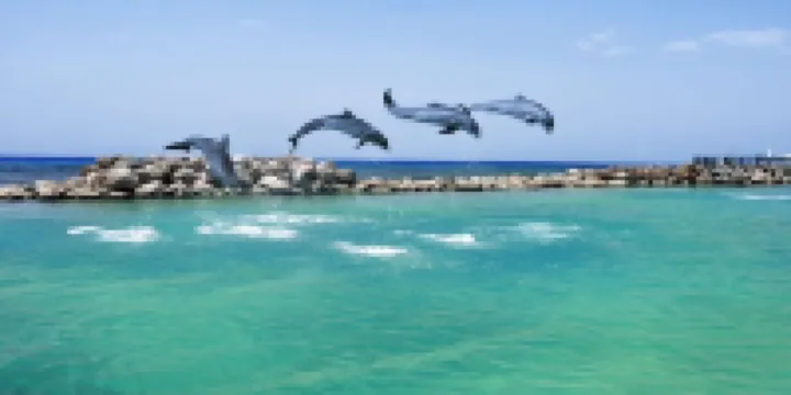 Queen’sPlaceNrBeach,WiFi,Prkg,Pool,Wsher/Dryer,View,SecurityNoFees