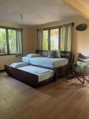 Casa Fresca a 50 Metros de Parque Nacional Tortuguero, Rodeada de Biodiversidad